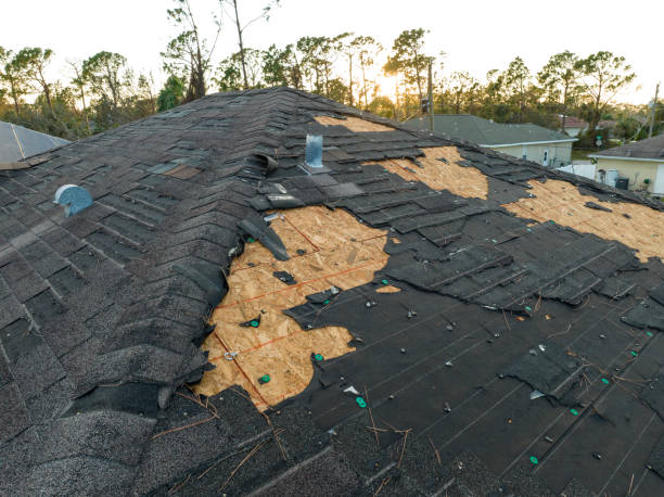 Best Roof Insulation Installation  in Milford, OH